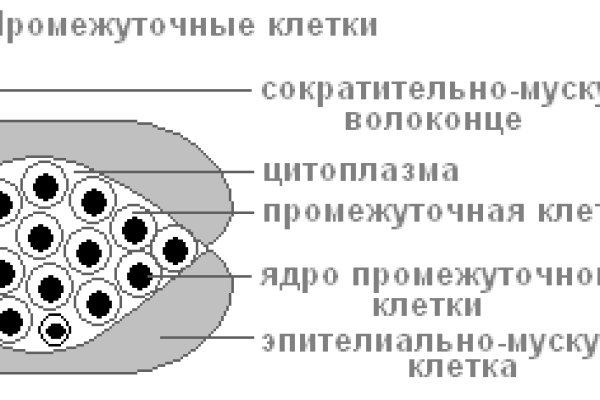 Кракен официальный сайт тор kramp.cc