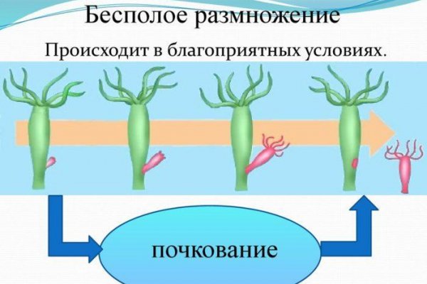 Магазин омг вход